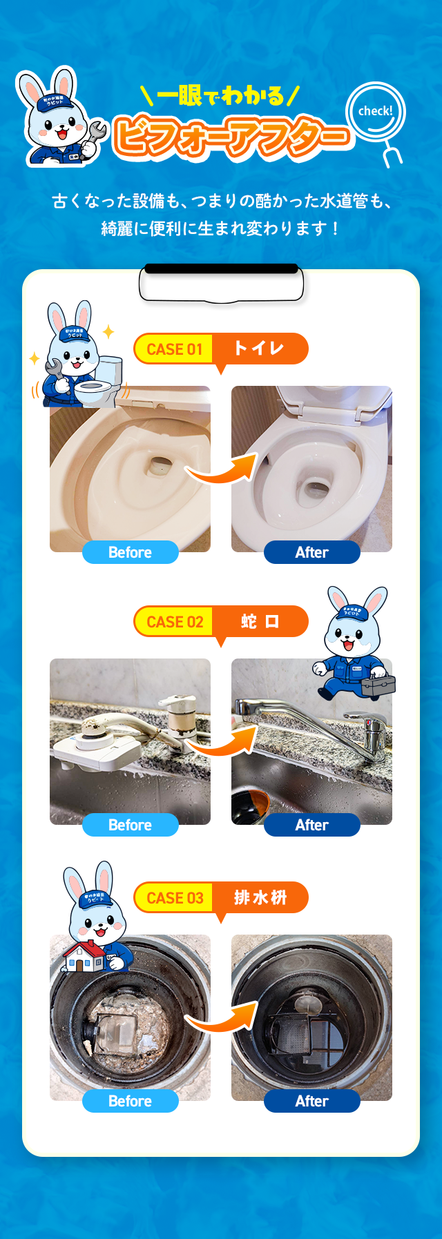sp_contents_bg02
